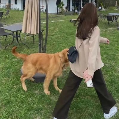 家族史